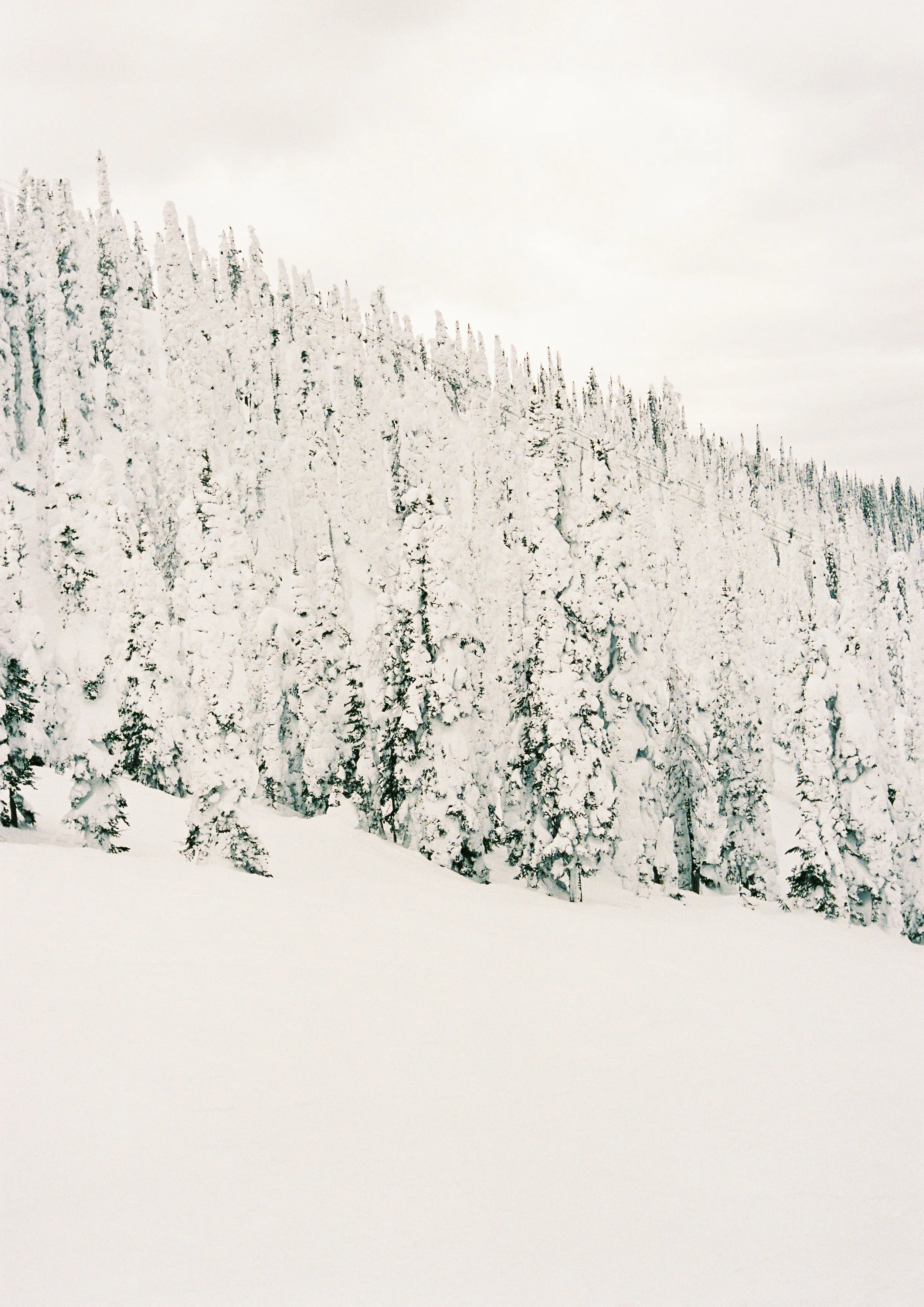 untitled-18.jpg