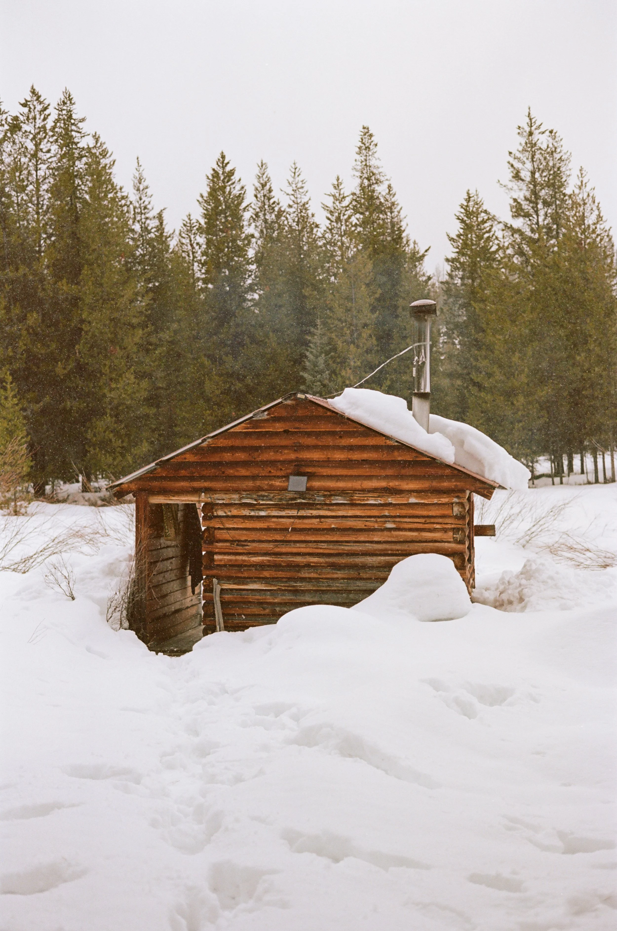 untitled-35.jpg