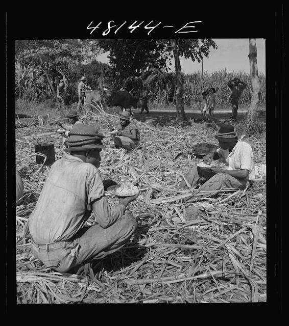 lunch - sugarcane- 1942.jpg