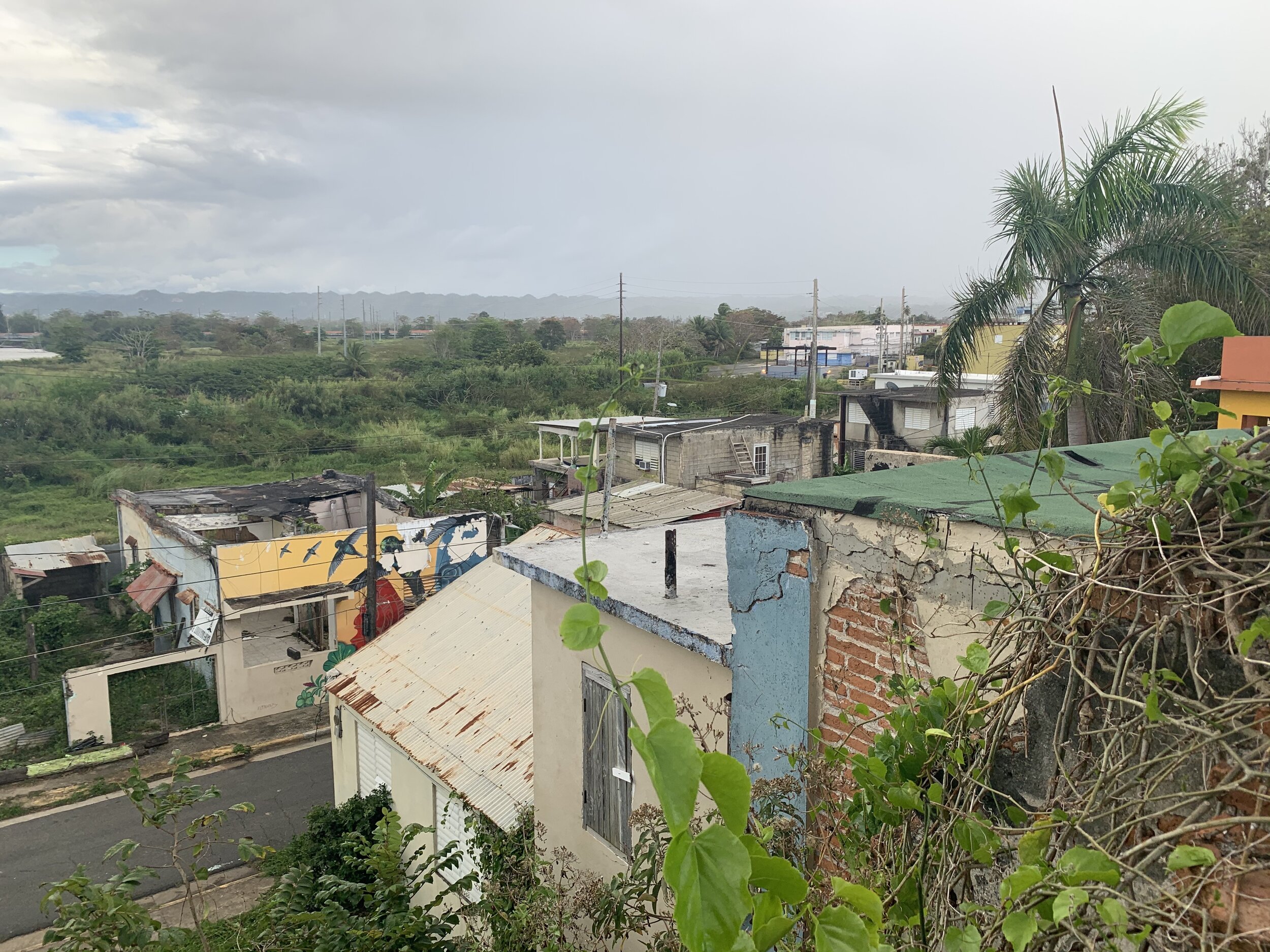 Vista desde La Residencia Roses Artau hacia la Calle Aristo Cruz y Utuado (Sur)