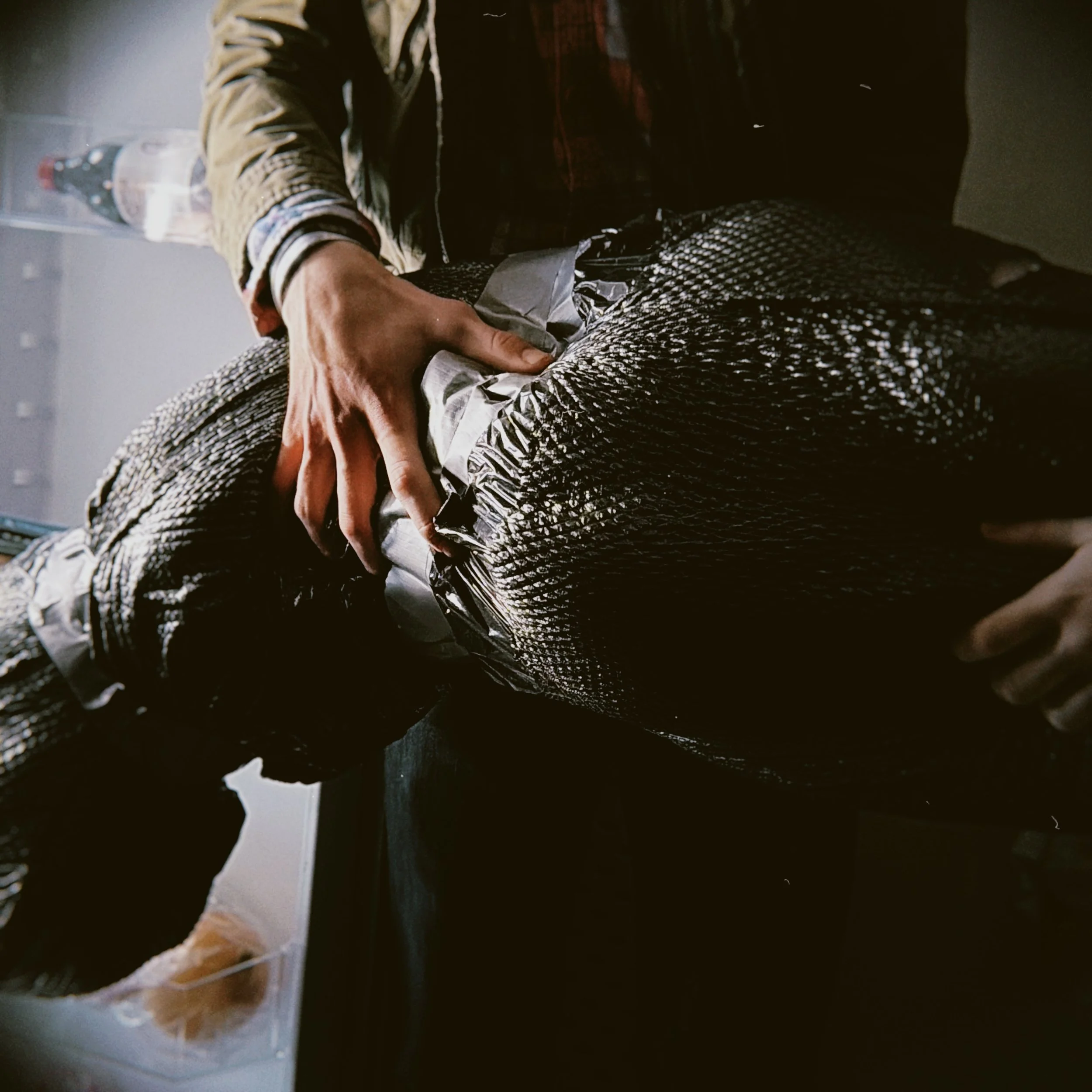 hoga 2026-02-01 19323910.JPG