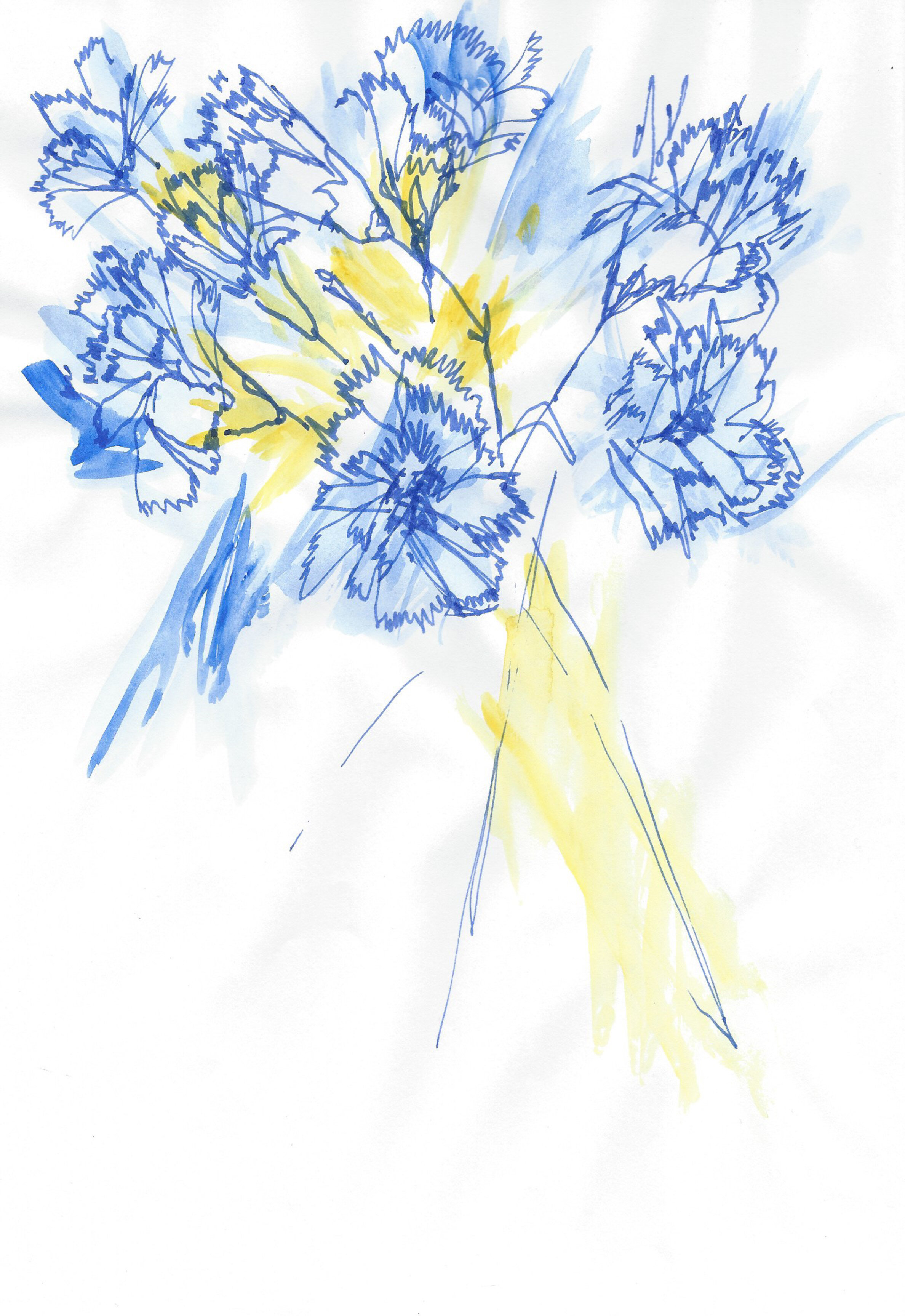 Carnations-3.jpg