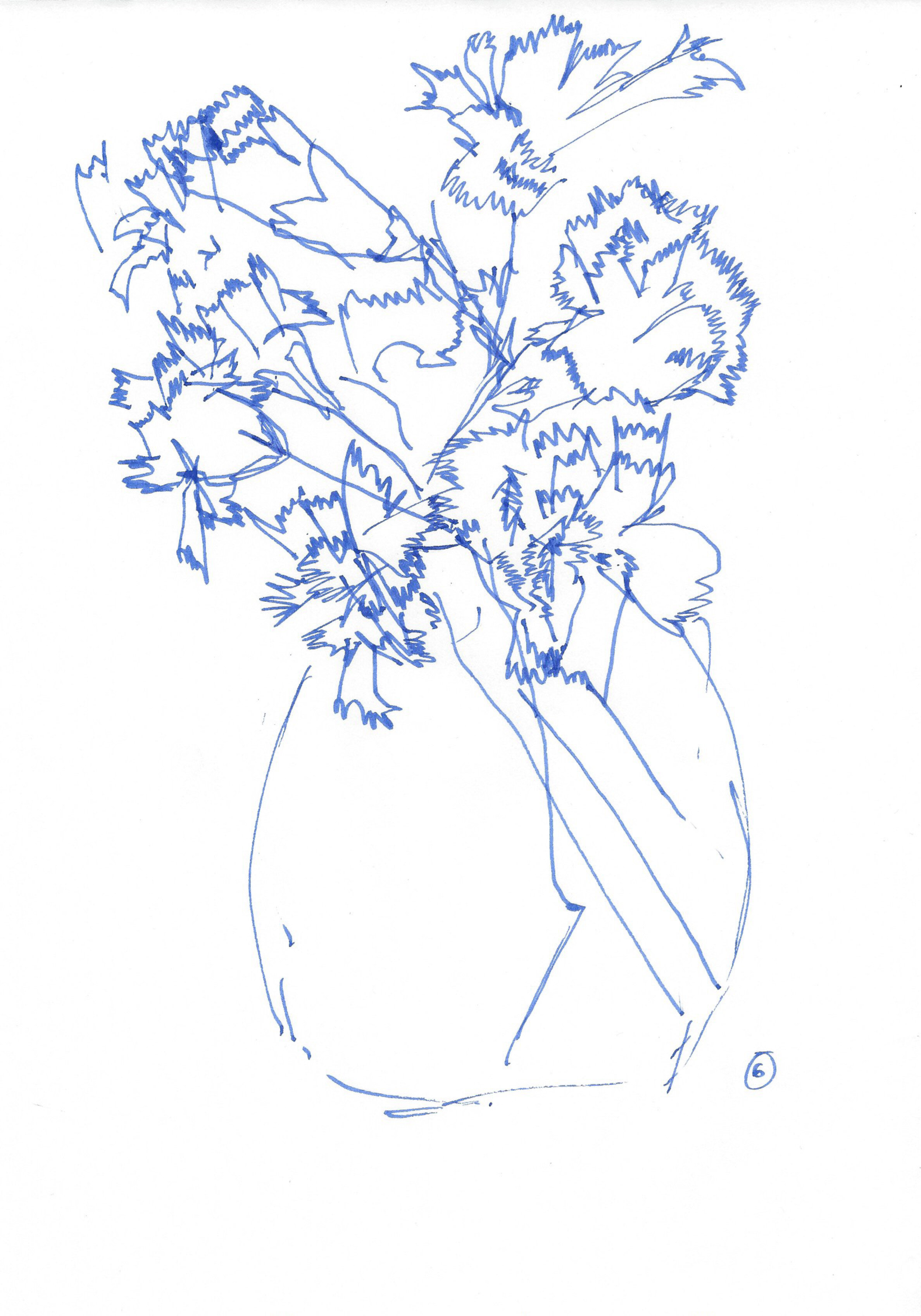 Carnations-5.jpg