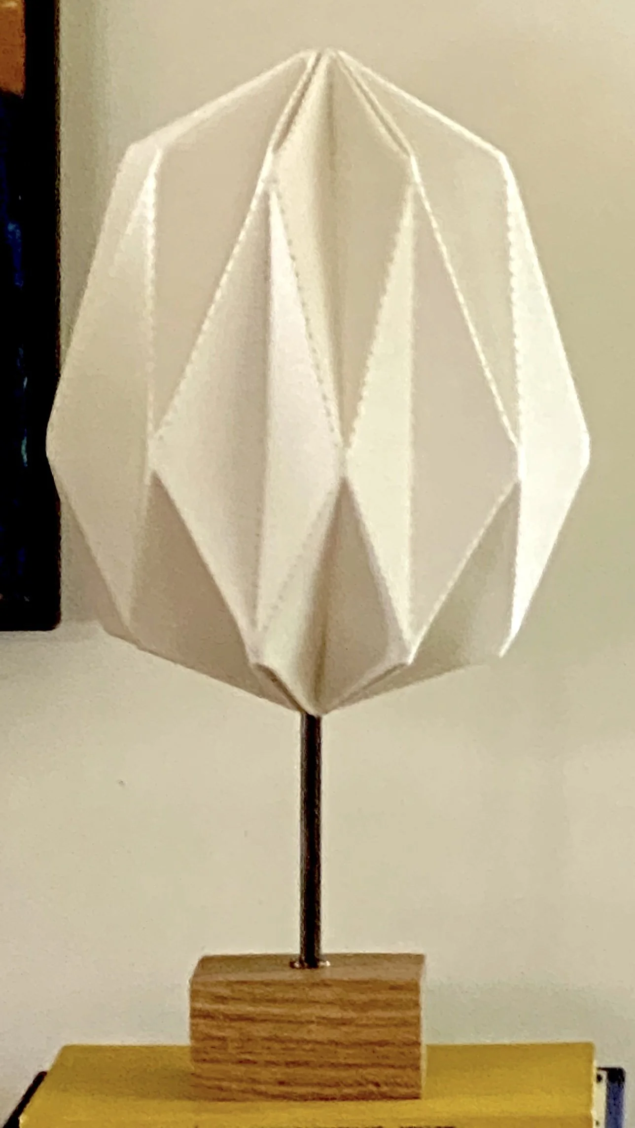 wca-acorn-1.jpg