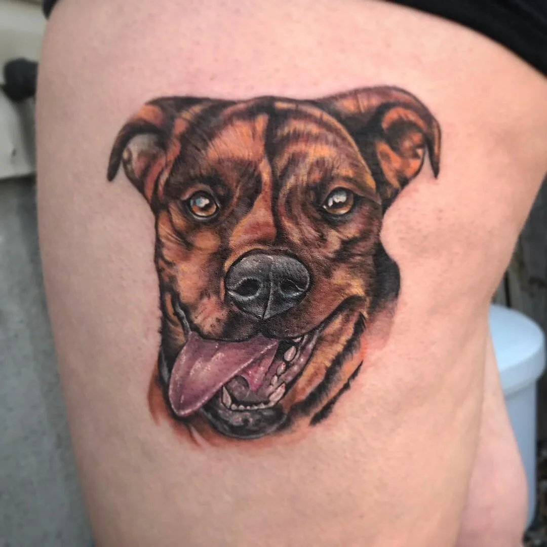 amanda dog.jpg