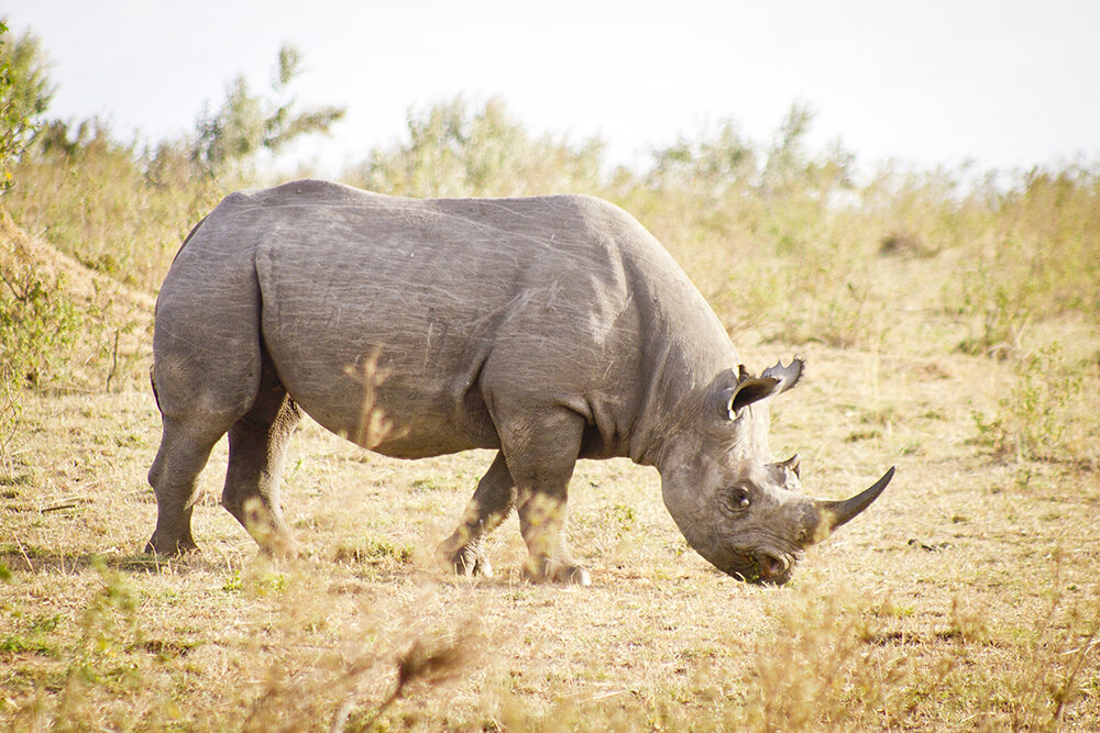 ang_africa-148.jpg