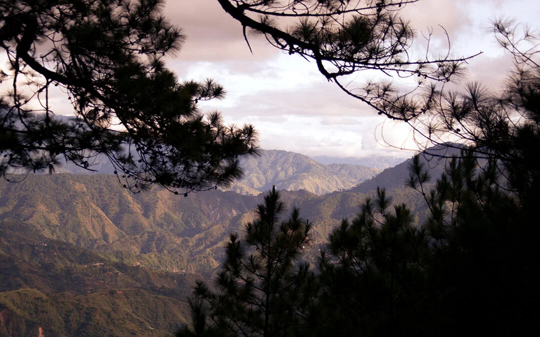 landscape_web_photos-2.jpg