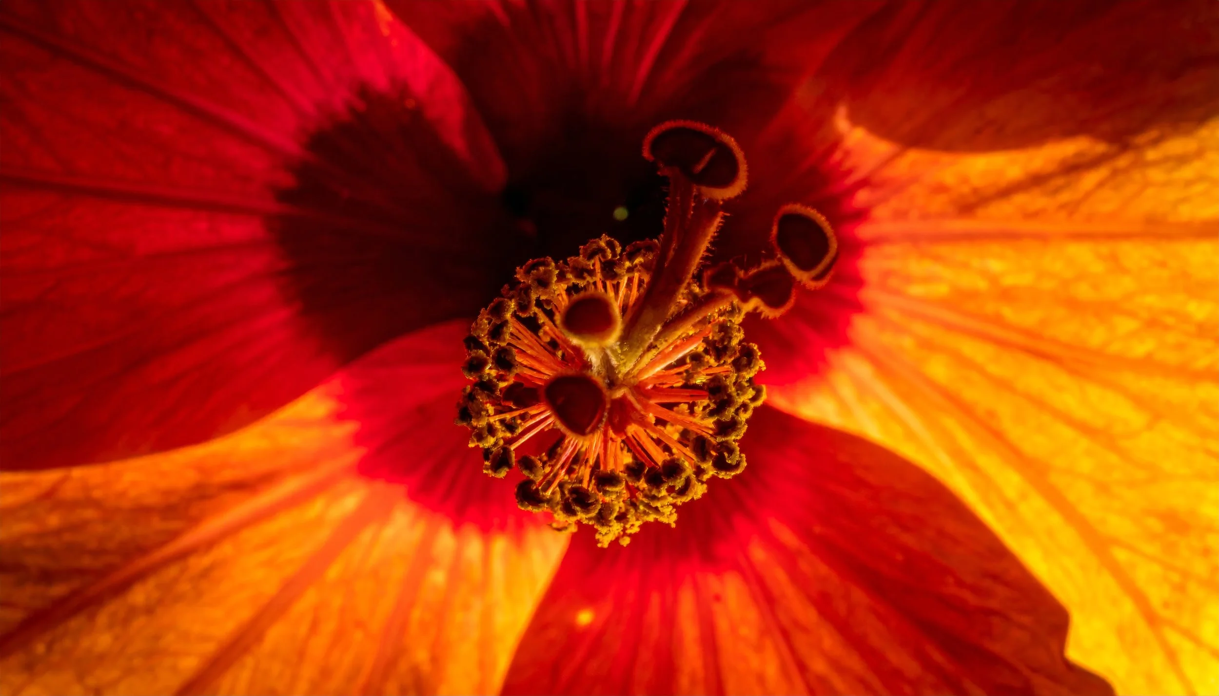 AdobeStock_2074057741.jpeg