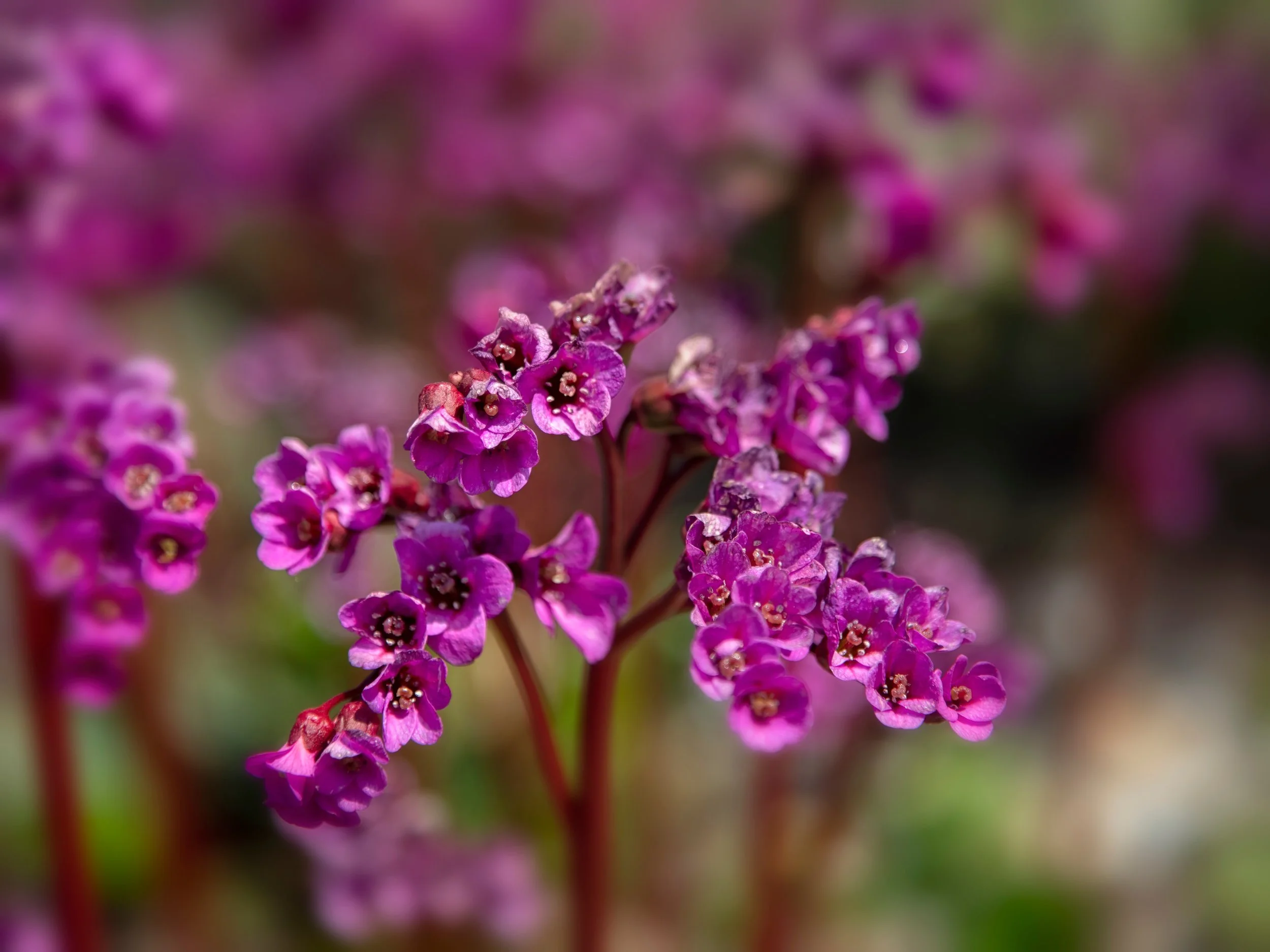 AdobeStock_1881101315.jpeg