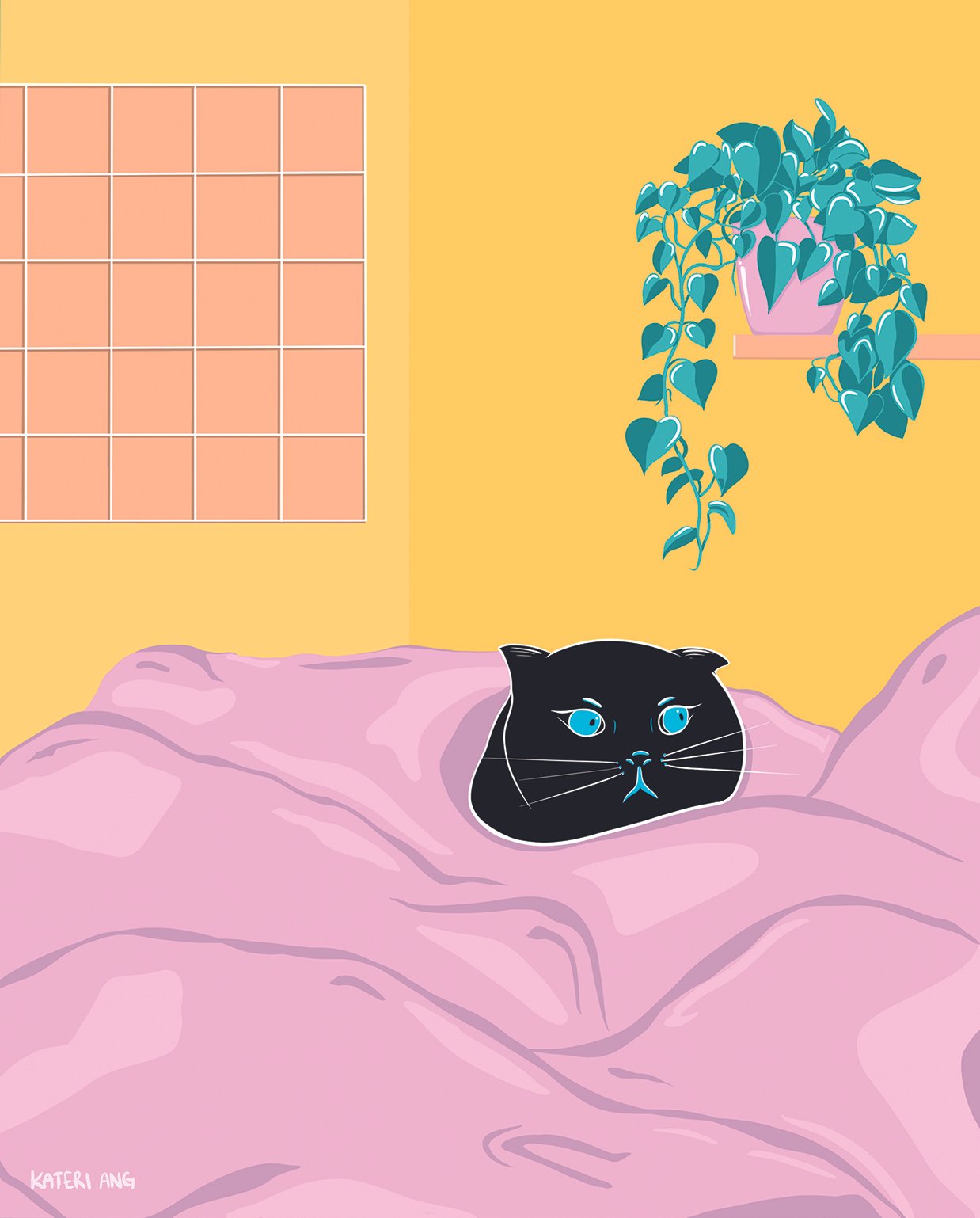 cat in bed_LR.jpg