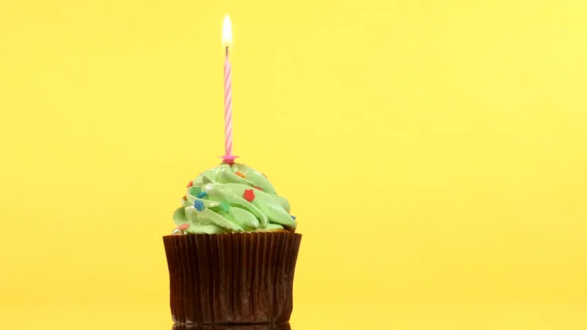 Happy Birthday Sugar Hill Children's Museum!