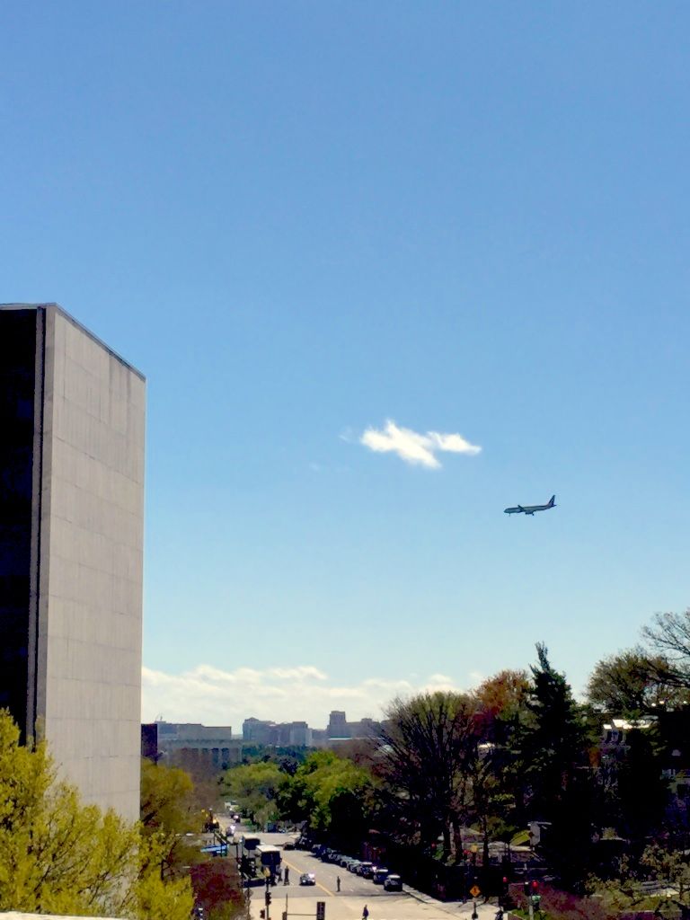 The view from the building’s rooftop.