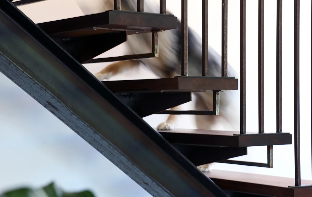 SPD - STAIR DETAIL - MISHKA copy.jpg