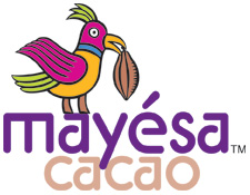 Mayesa_logo small (2).jpg