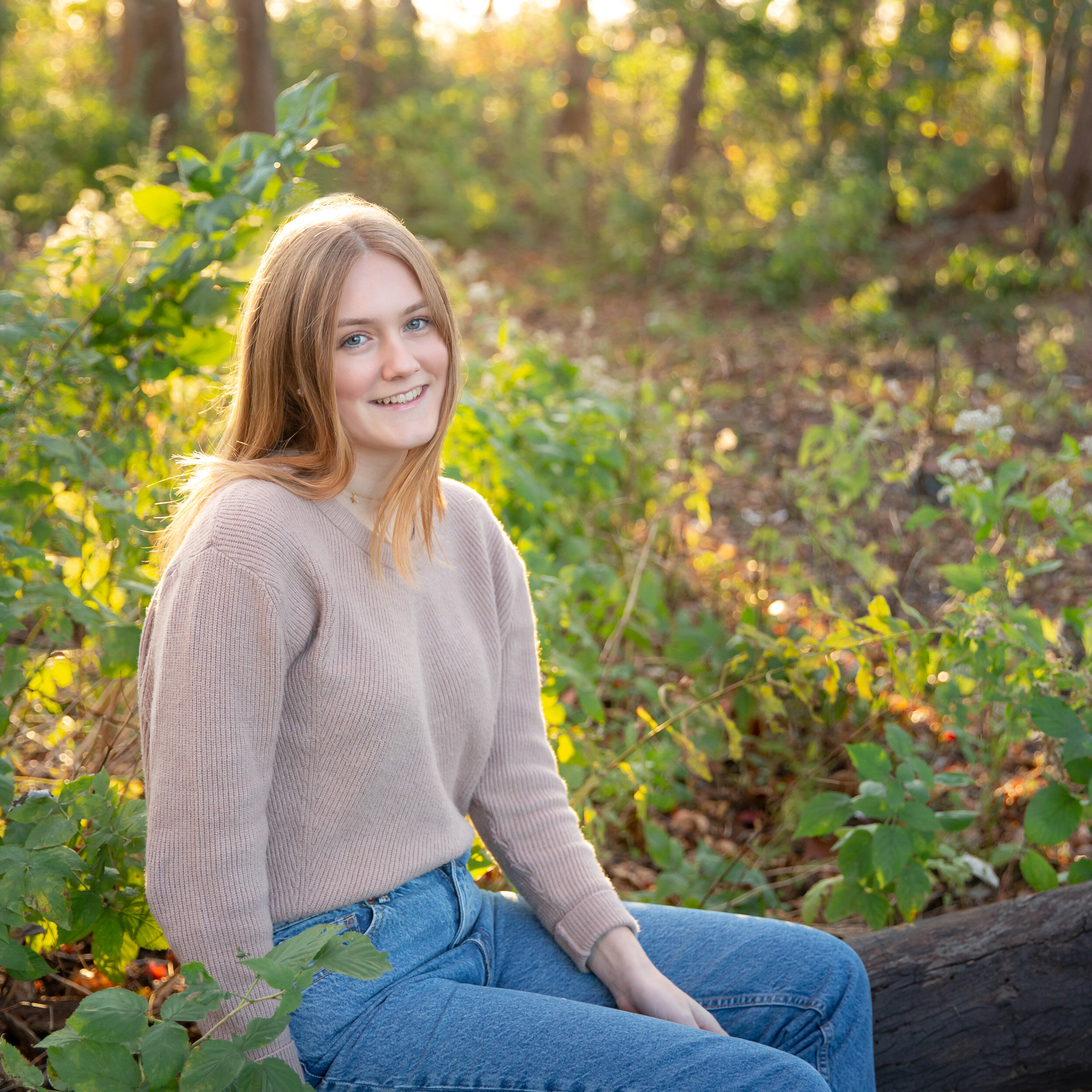 sea green photography, rhode island senior portrait, girl, sitting, outdoors, evening, back light, woods