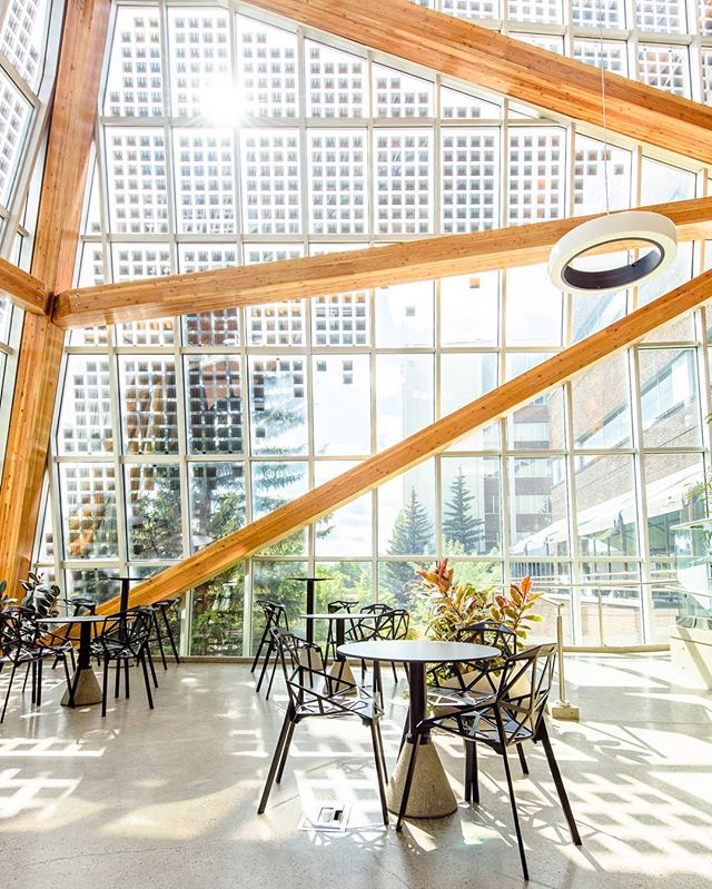 The Agricultural Tech Atrium on campus is one of the most unique additions on the @ualberta campus. Designed by @dialogdesign it boasts functional fir beams combined with solar panels inset in the windows make it as beautiful as it is functional. ⁣
⁣