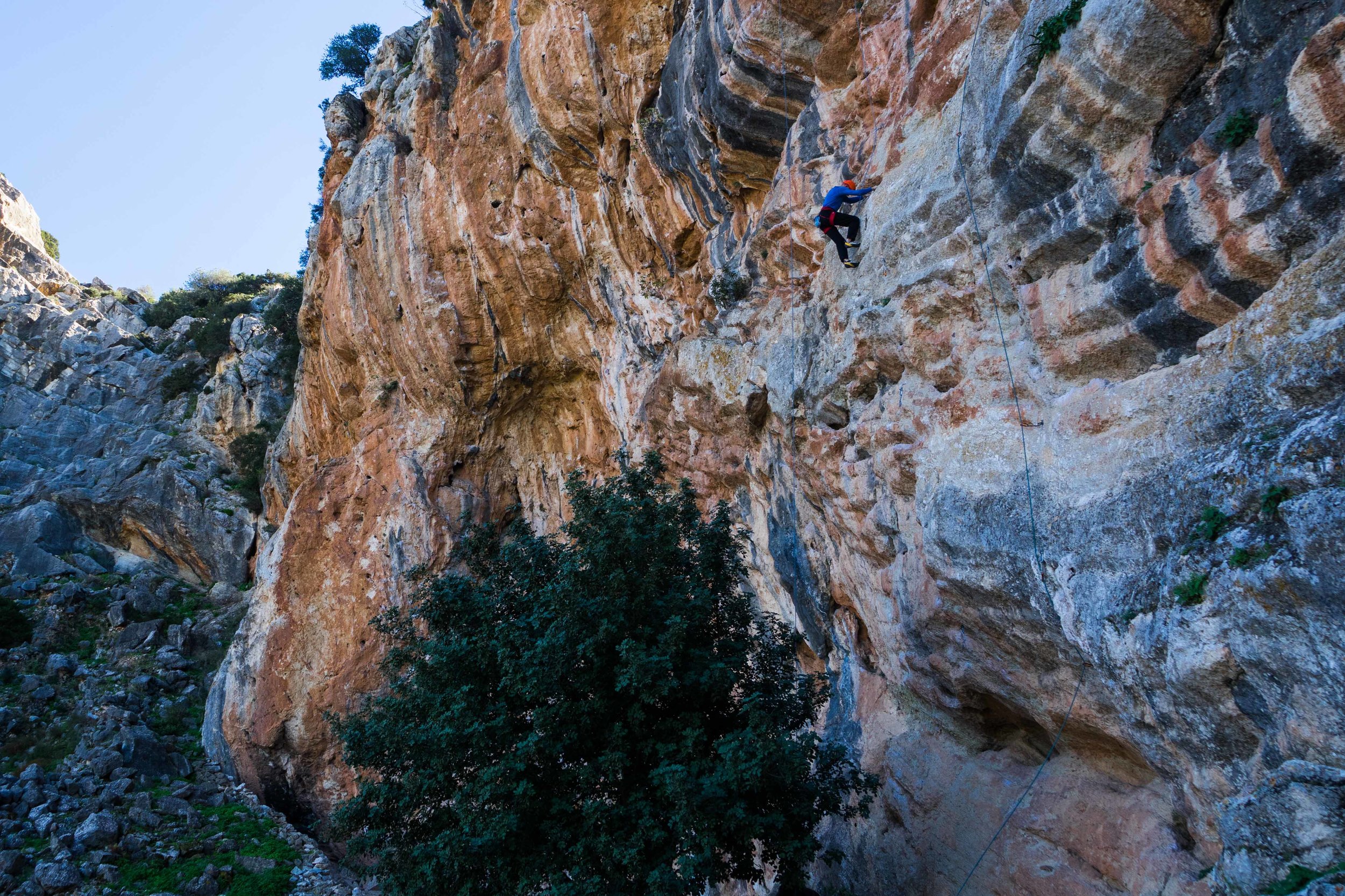 El Chorro limestone