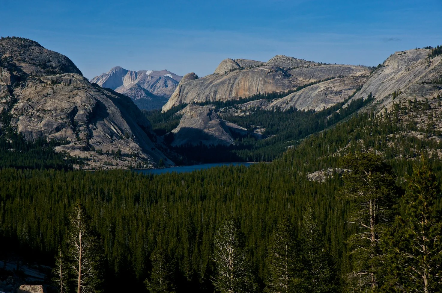 yosemite hiking tours