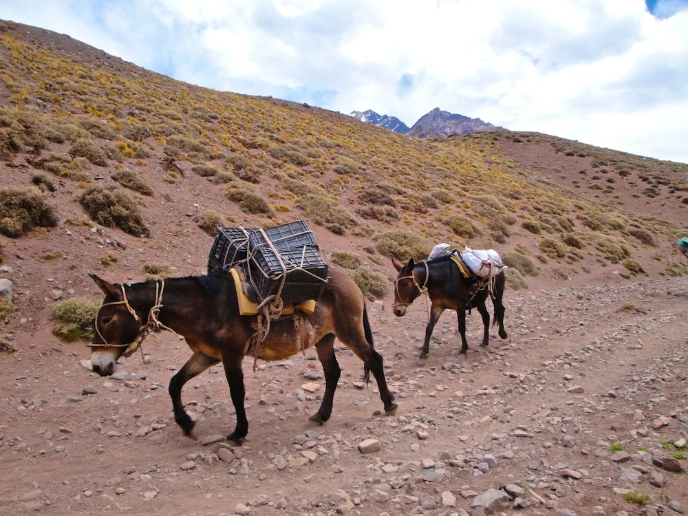 International Alpine Guides expedition photo 2