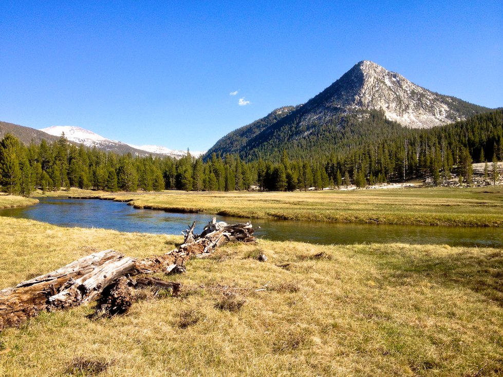 Lyell canyon along the John Muir Trail