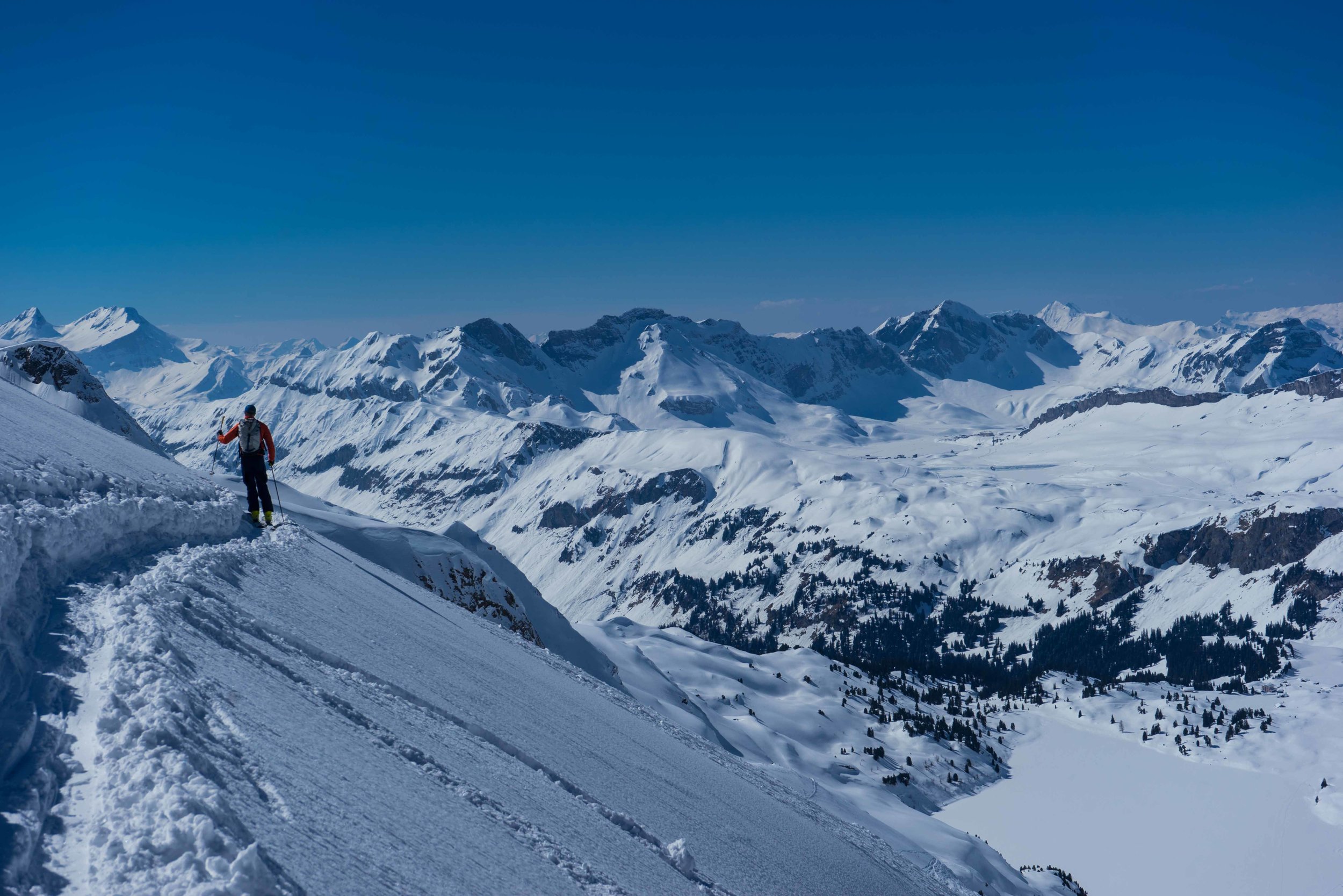 swiss freeride-1-4.jpg