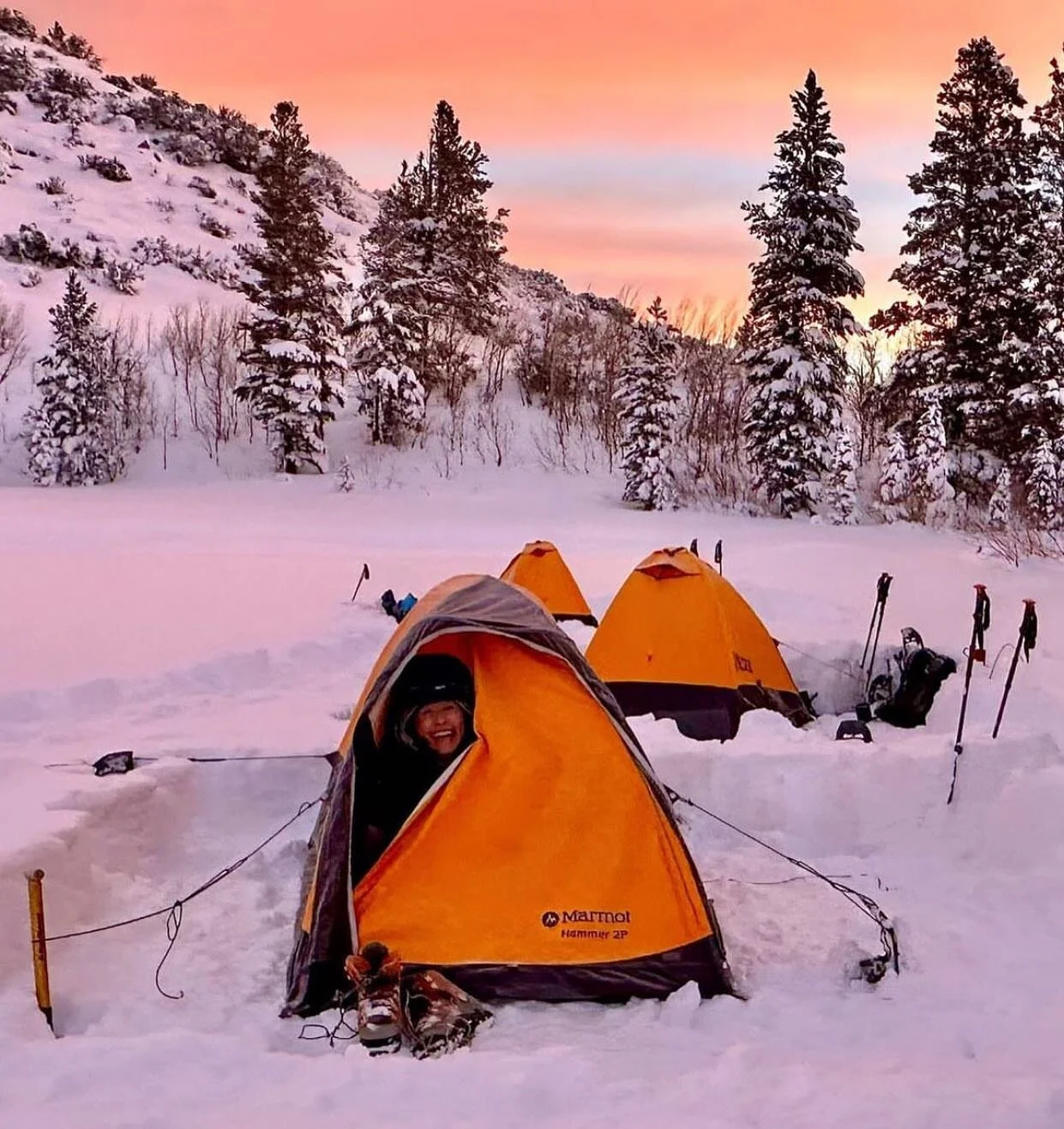 International Alpine Guides