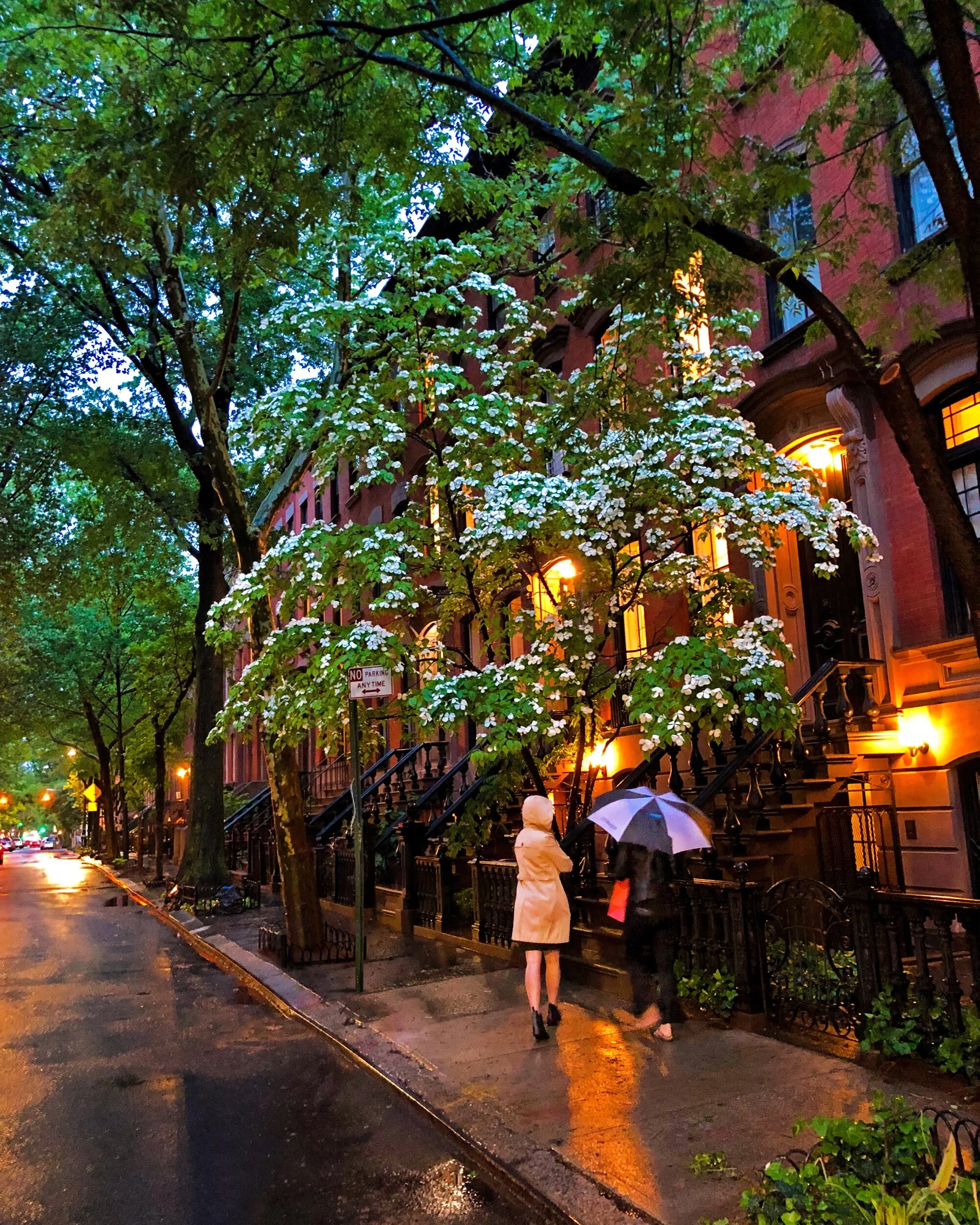 64D6576D-6871-4ABA-85C9-D4014F8145C3