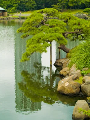 Detached Palace Garden, Tokyo