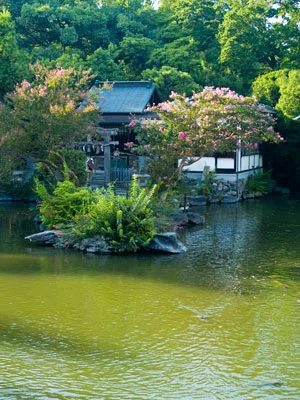 The Garden in Imperial Palace