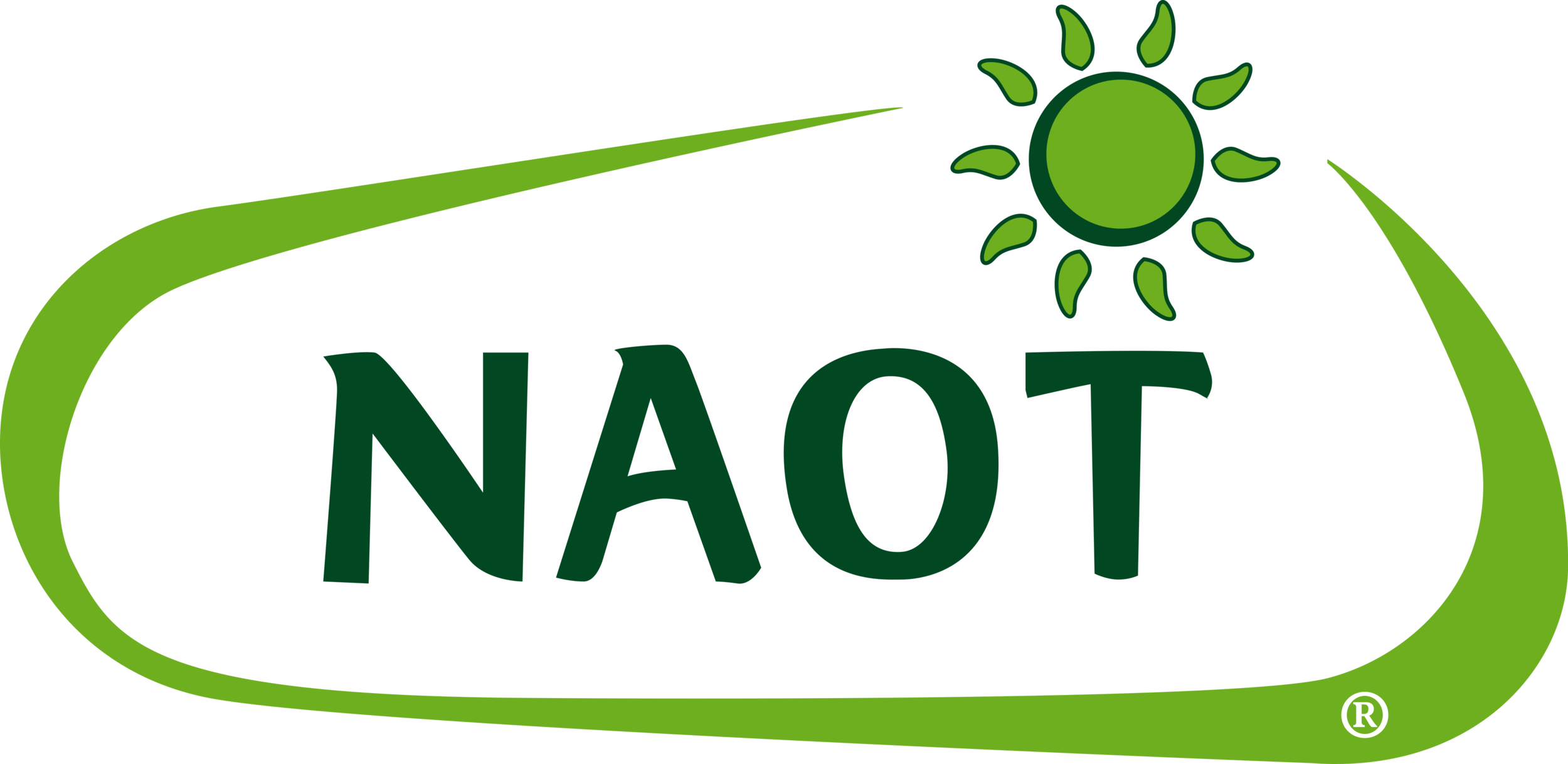 Naot_Logo.png