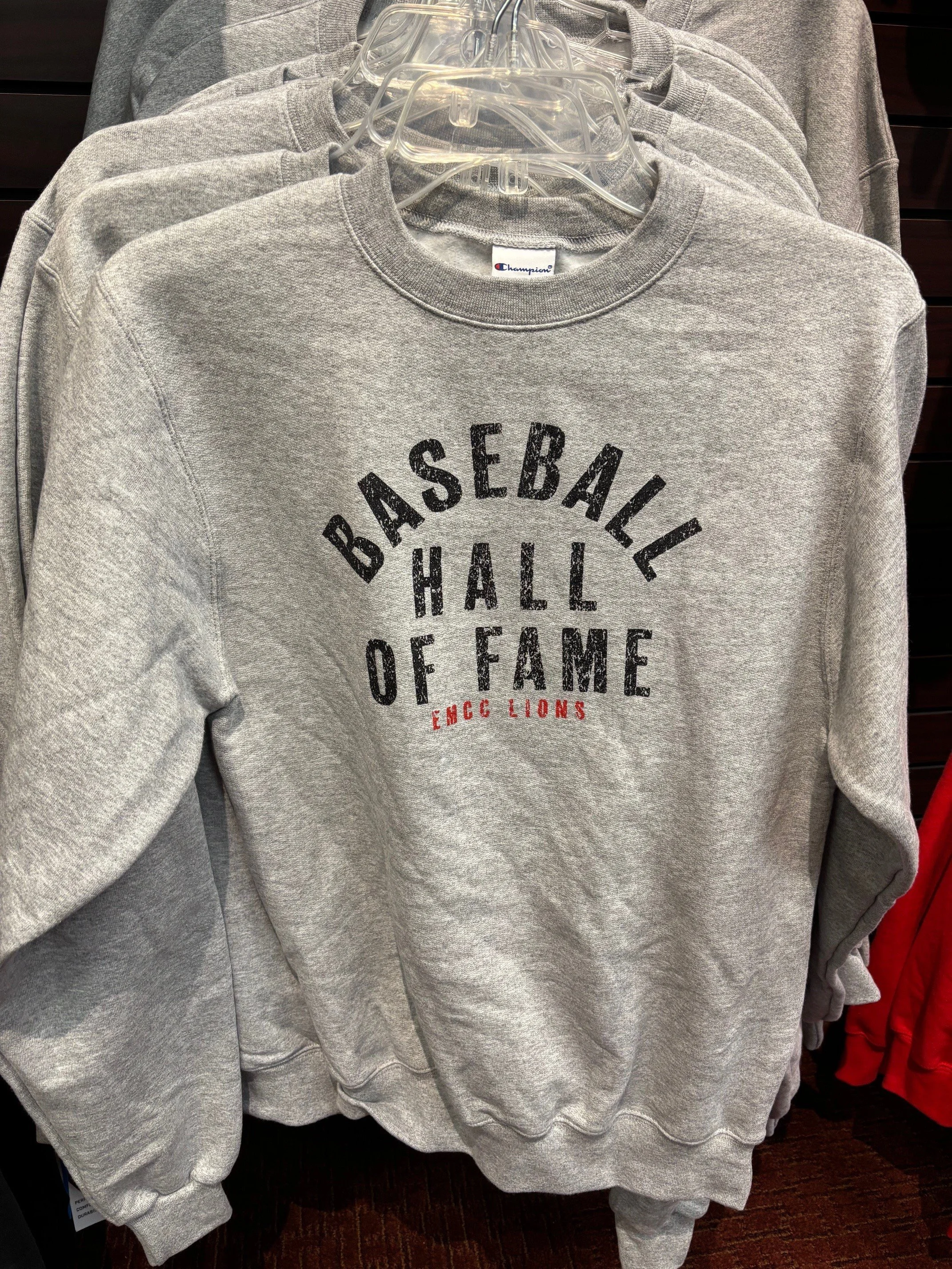 EMCC Lions Baseball Hall of Fame Crew.jpg