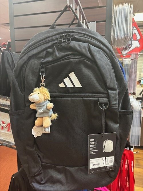 Adidas Bag.jpg