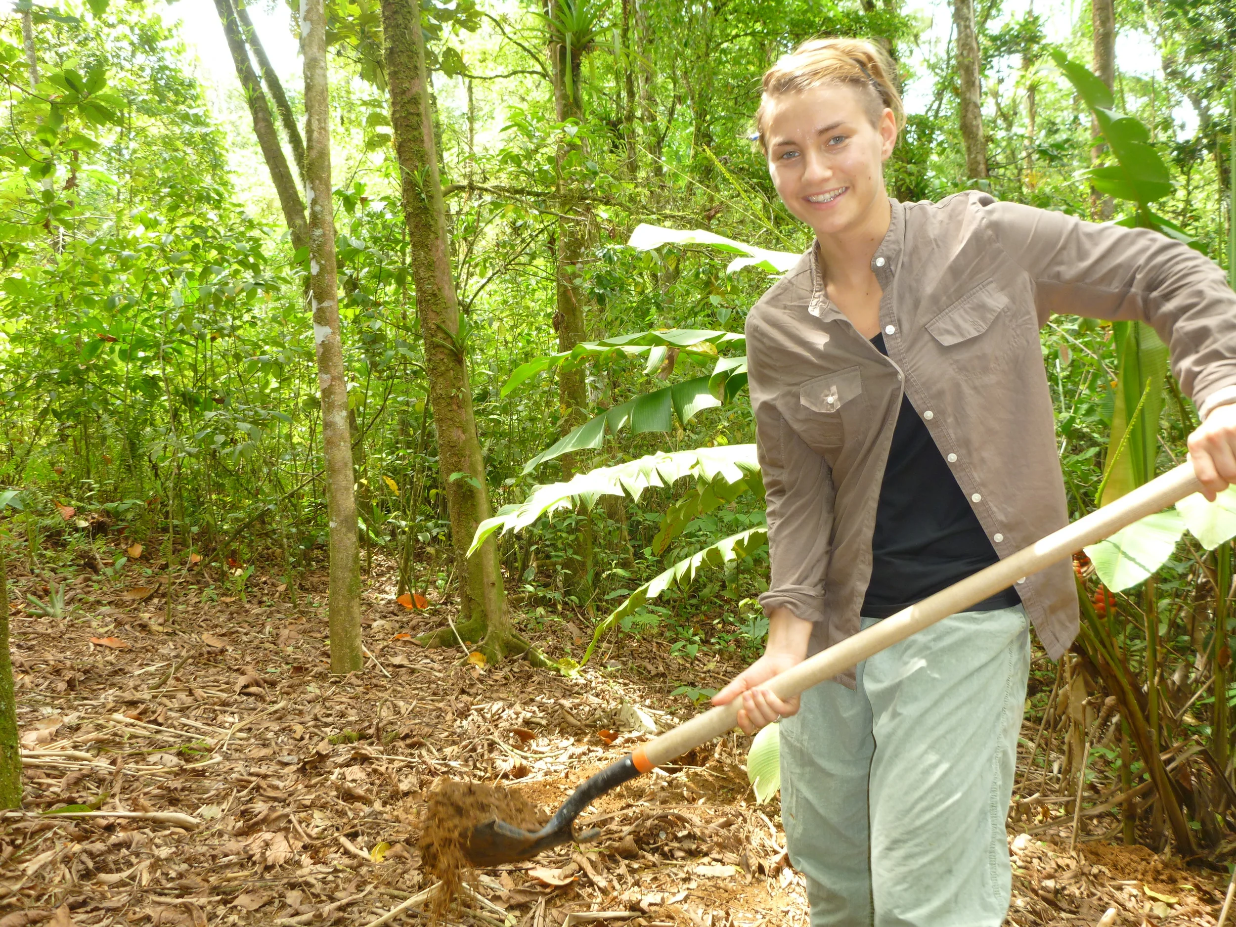 Jules Cooch was an REU student from University of Michigan and spent the summer of 2012 at La Selva, where she helped us collect soil biogeochemistry data as well as conducted her own shadehouse experiment to test how plant germination and growth differed between nest and non-nest soils