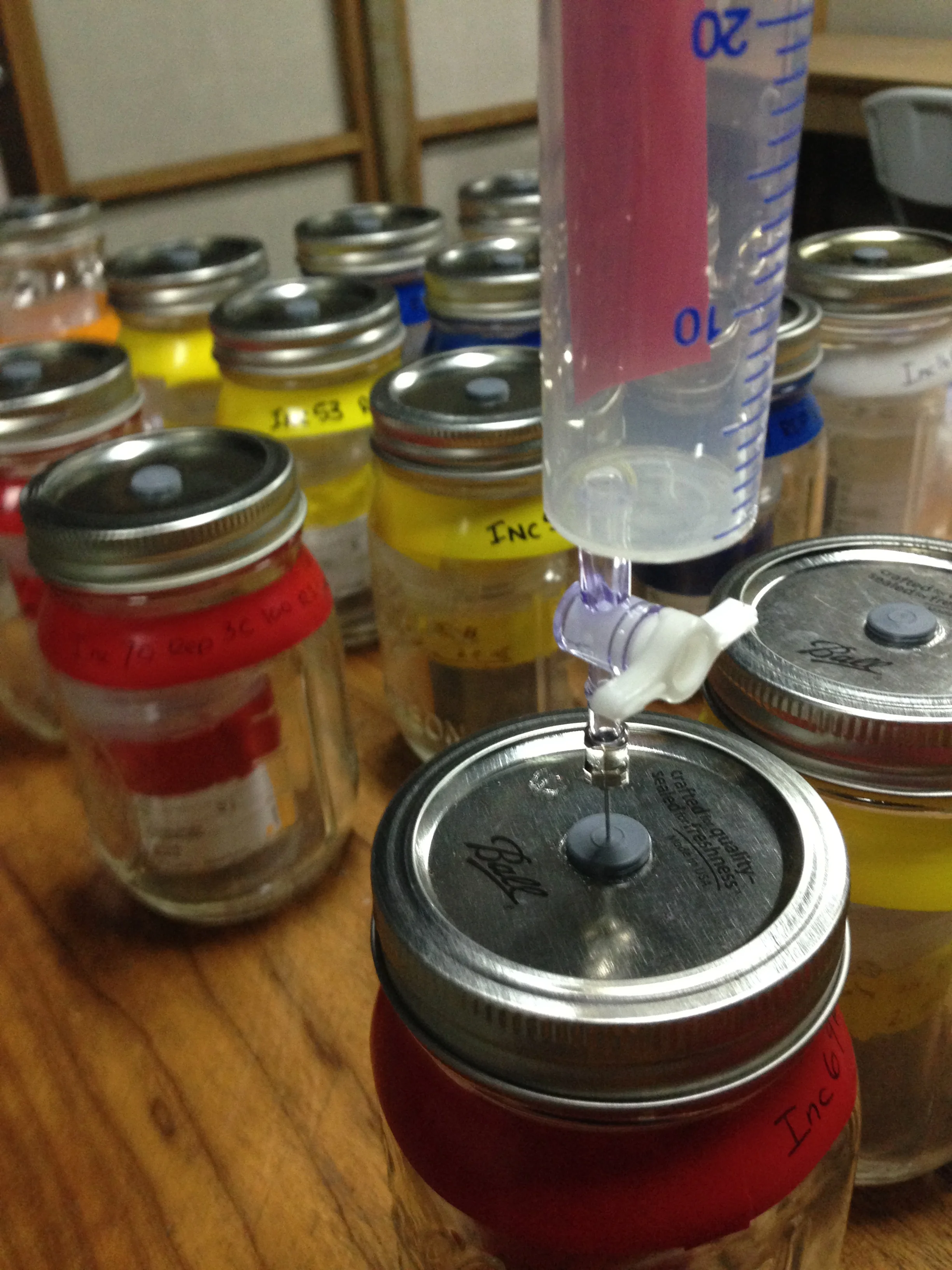 2015-02-07 20.45.07.jpg