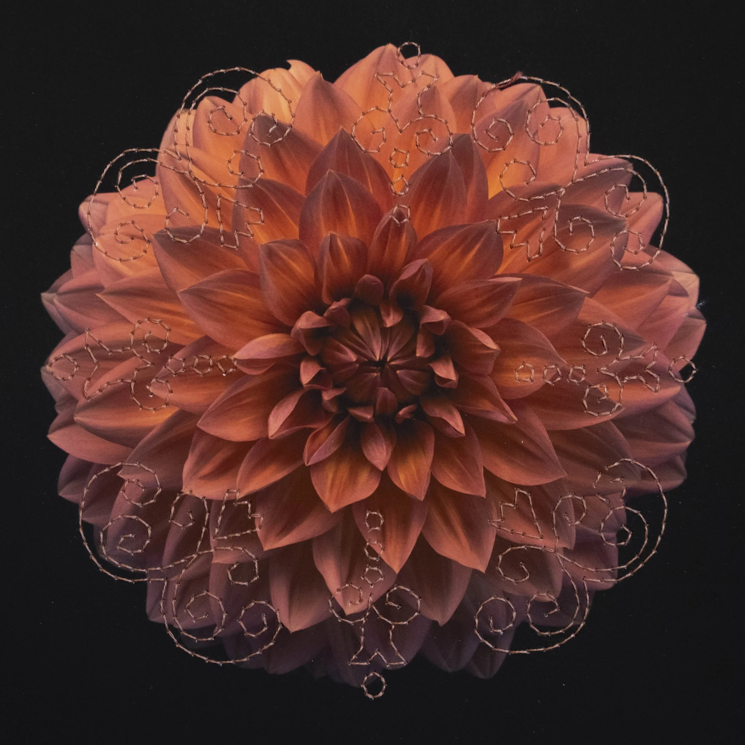 untitled-17.jpg