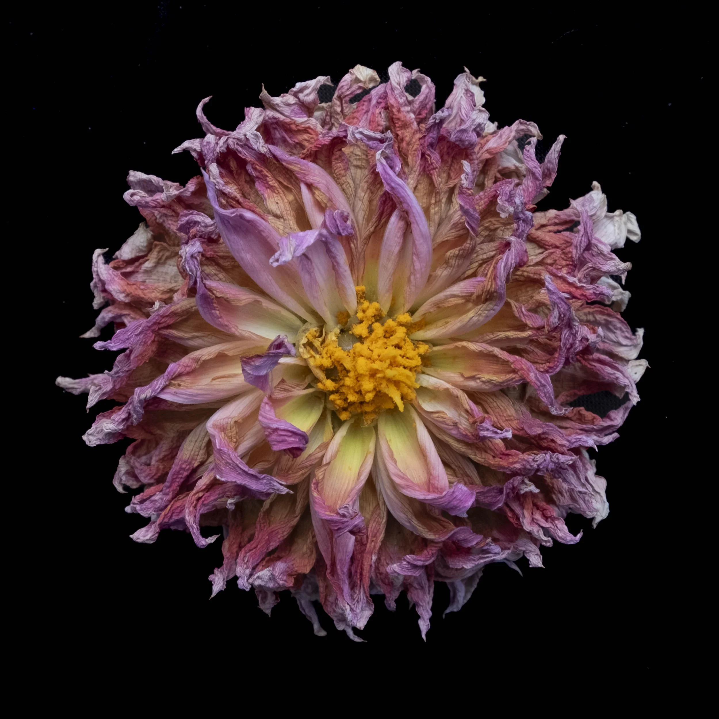 untitled-15.jpg