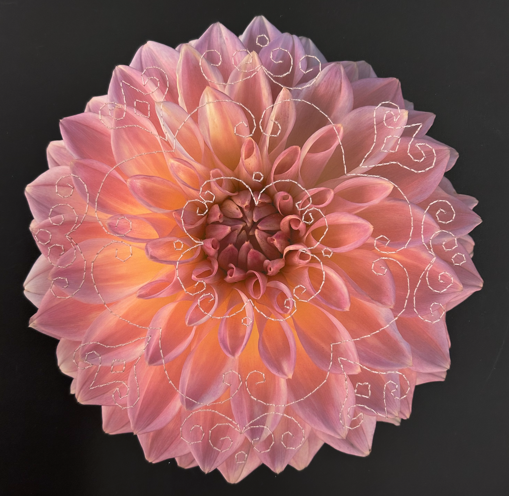 Screenshot 2026-01-01 at 11.42.02 AM.png