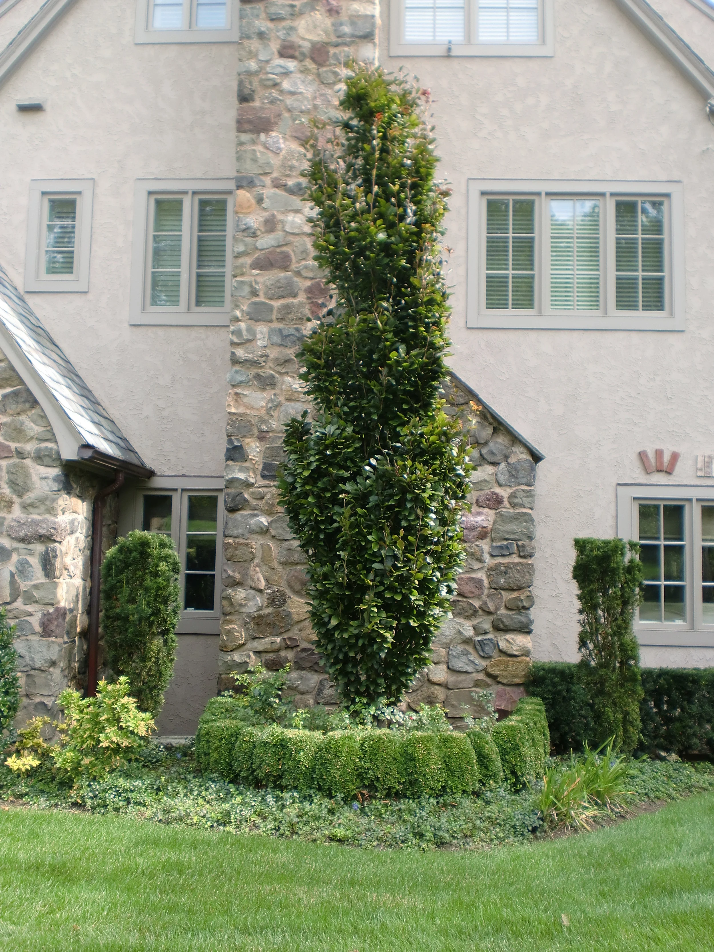 Parrillo Tripod 001.JPG