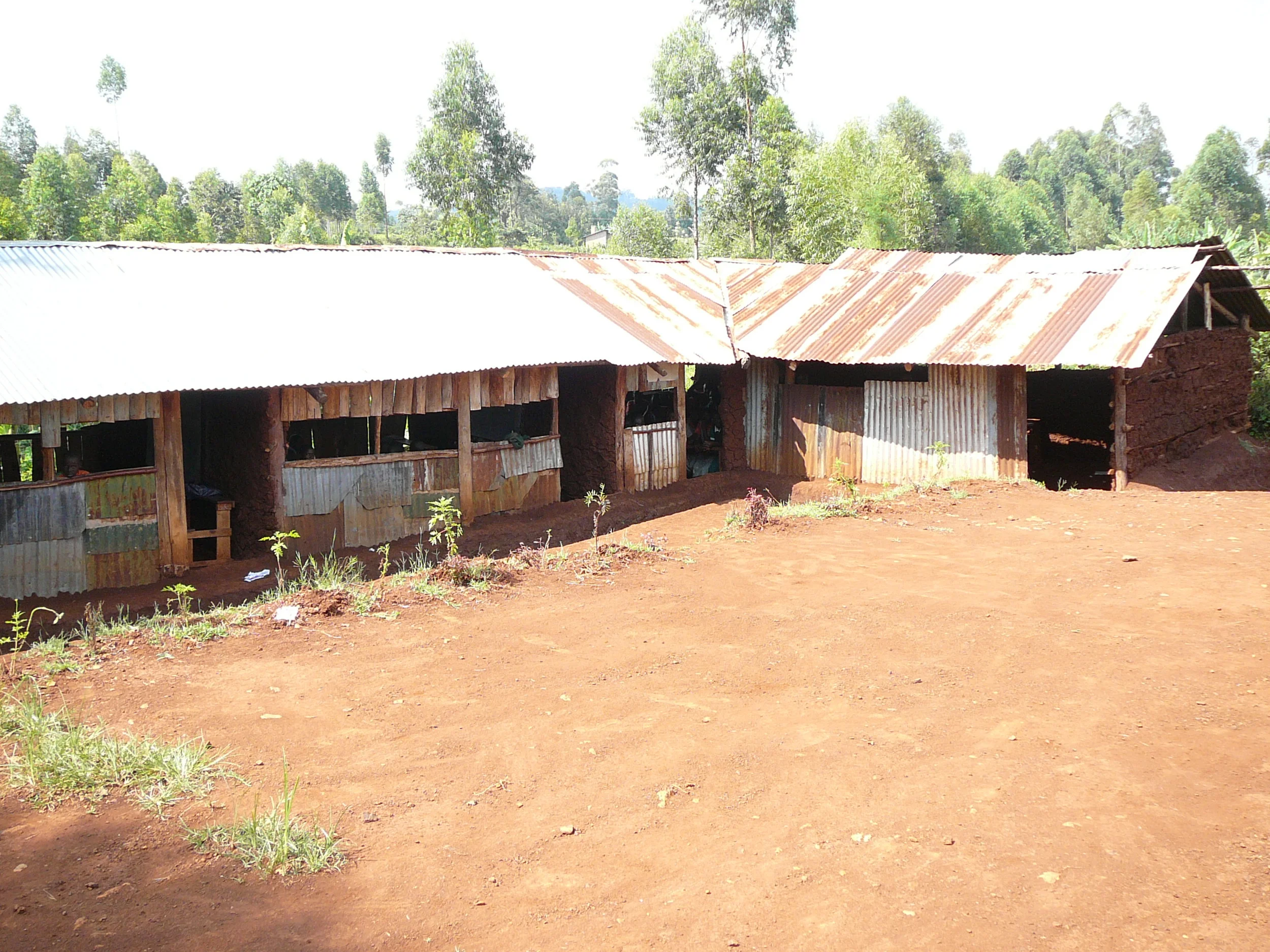 P1070547.JPG