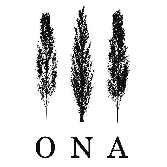 ONA_LOGO simple.png