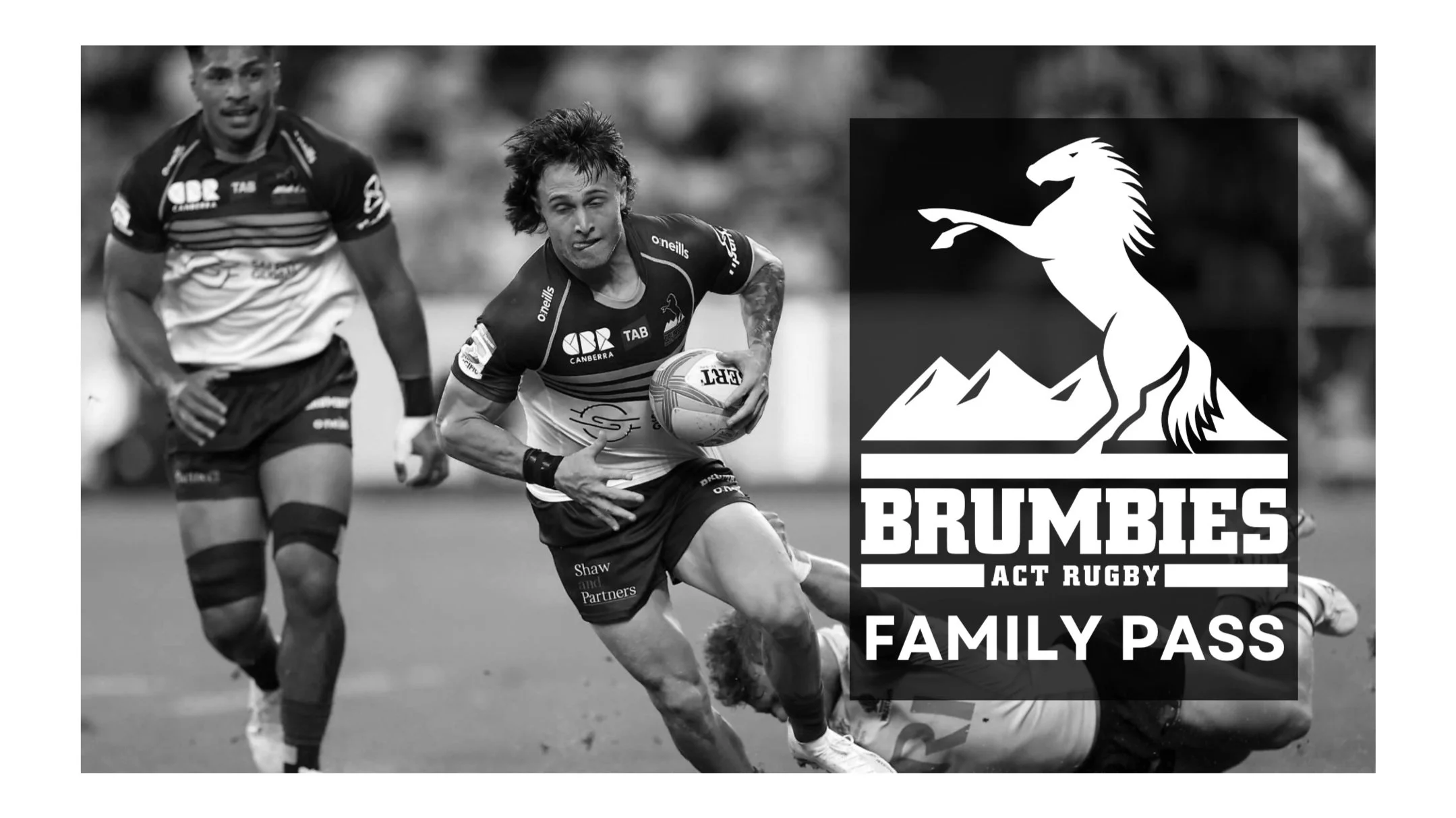 The ACT Brumbies