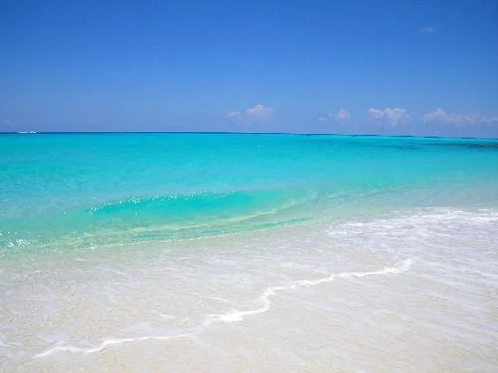 Jason & Jess get hitched