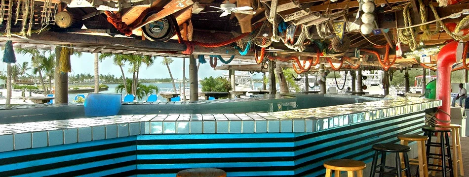 Party at Tipsy Seagull Bar