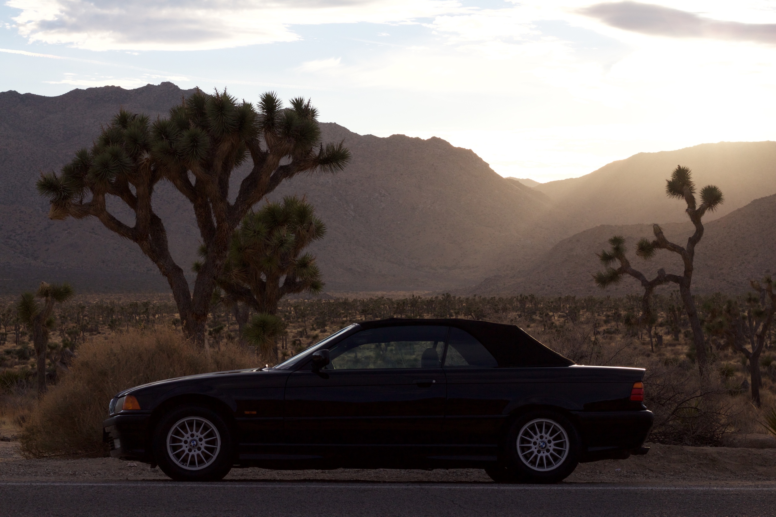 Beamer in paradise