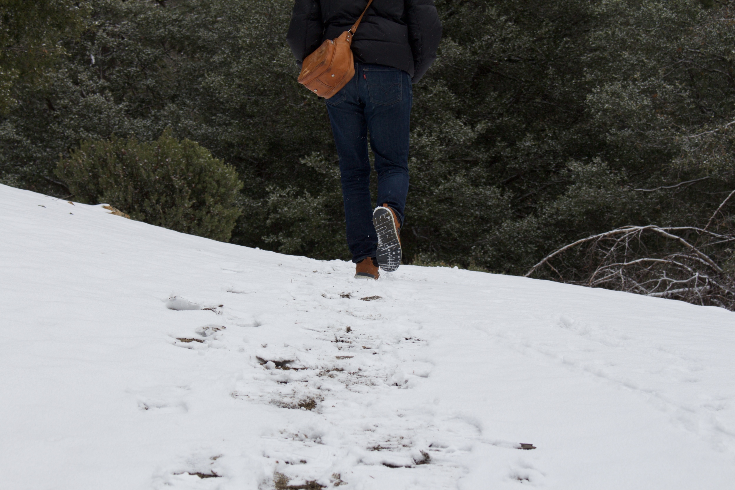 A walk in solitude