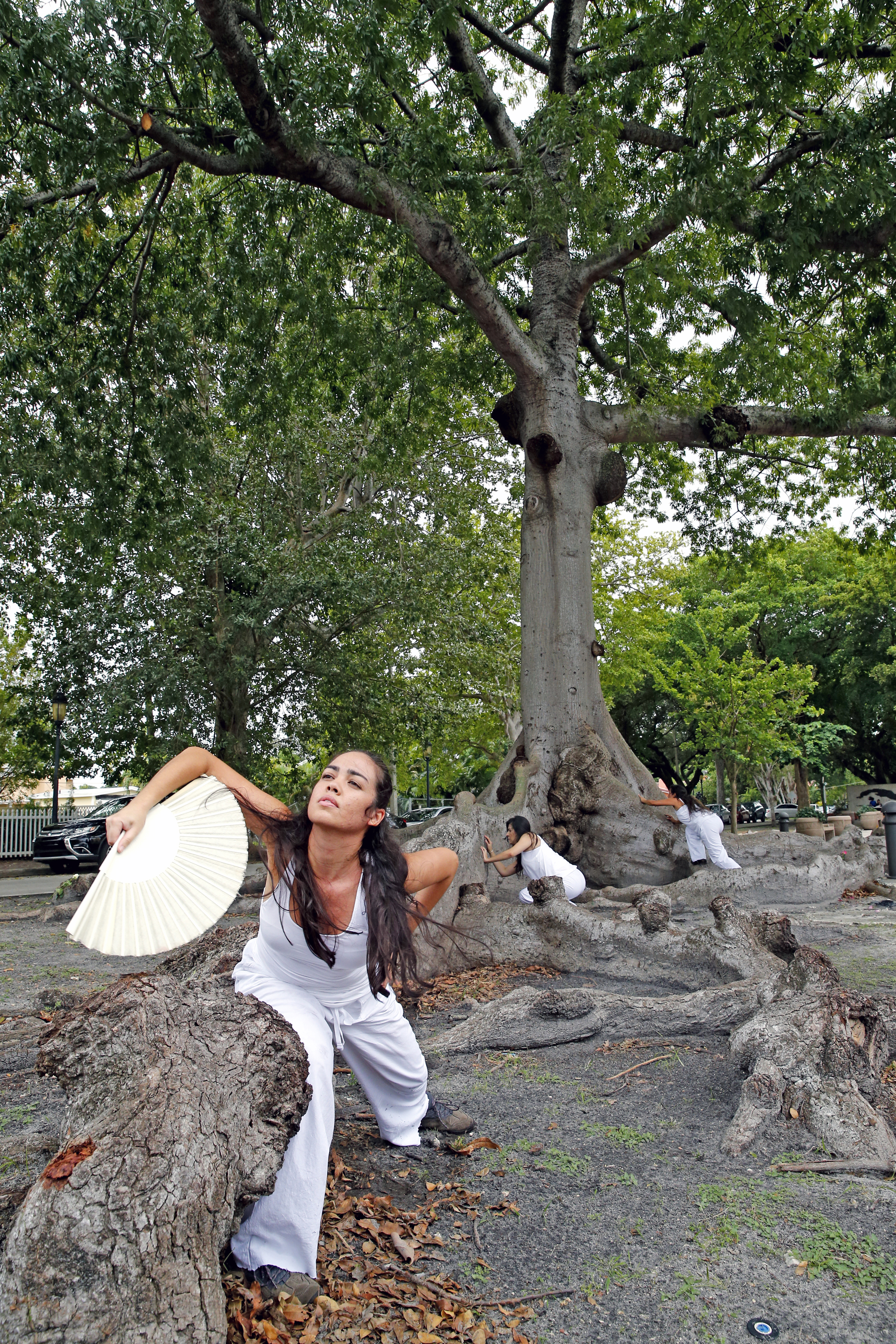 KNIGHT TREE 11.jpg