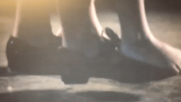 ezgif.com-video-to-gif.gif