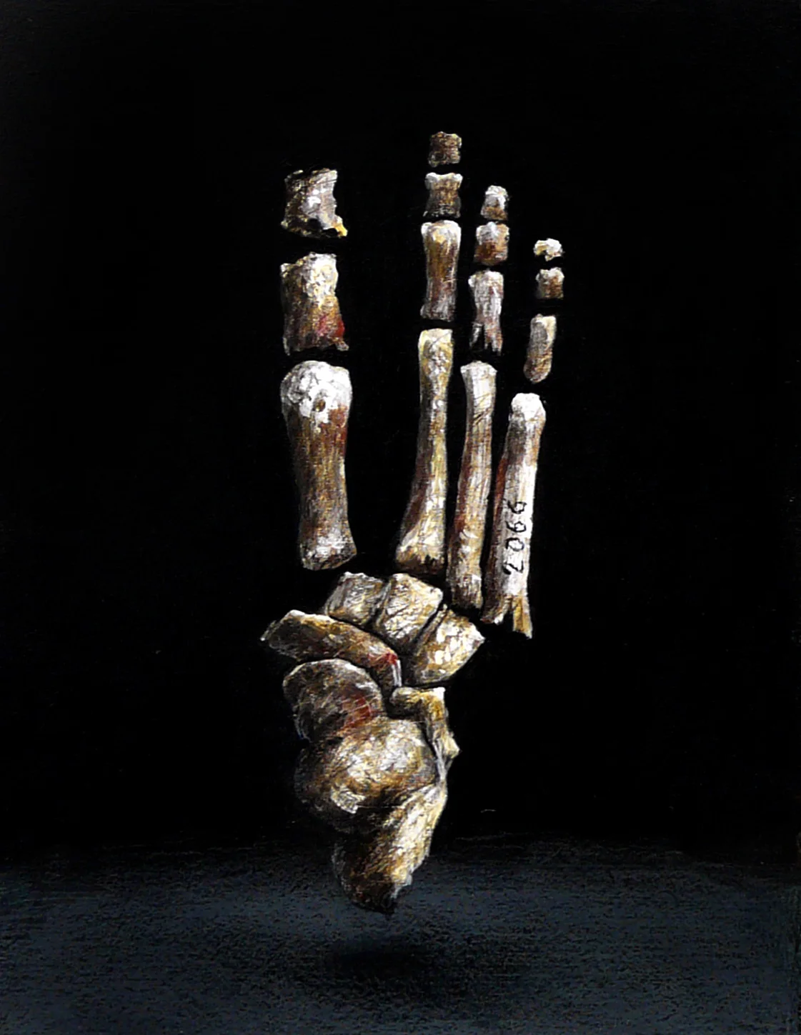 "Fósiles humanos" (Pie), 2016. Pintura acrílica y lápices de color sobre tabla. 17 x13 cm.