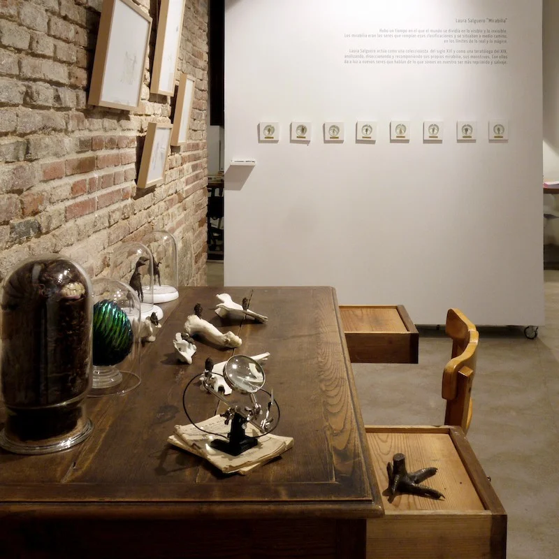 Laura Salguero. Aspecto general de "Mirabilia" , exposición desarrollada por La Gran en La Atómica, Valladolid 2014