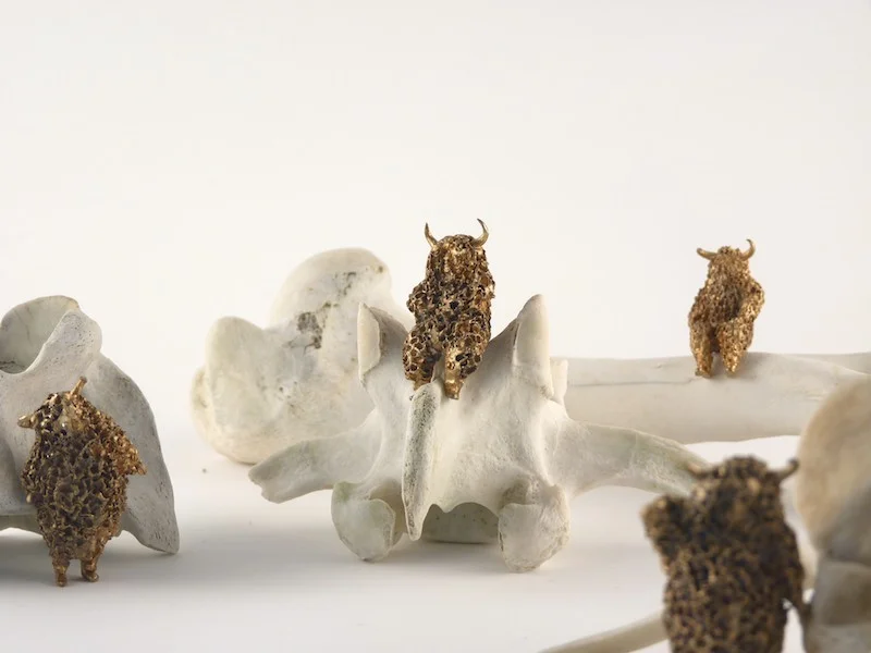 Laura Salguero. "Carne Levare" , Bronce y Hueso. 2014